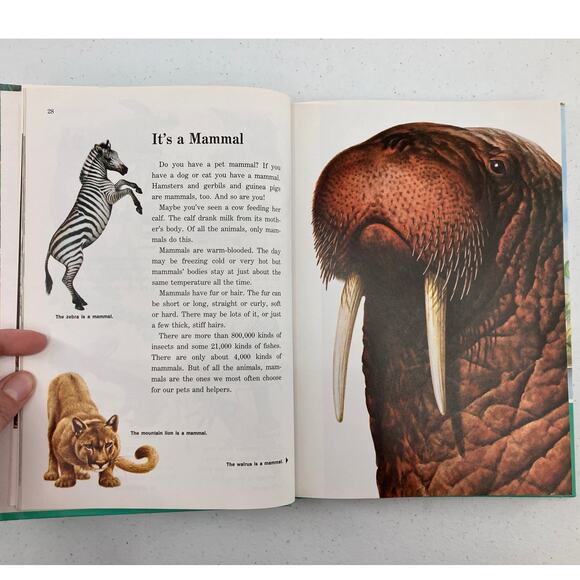 Vintage 1988 Childcraft How And Why Library About Animals Childrens Encyclopedia - Picture 9 of 13